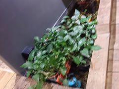 -邈墨茶馆(江南星座1店)