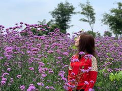 -歌斐颂巧克力小镇