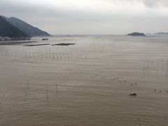 -北岐滩涂