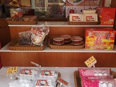 零售区-海丝金凤(金鱼店)