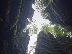 -梭布垭石林景区