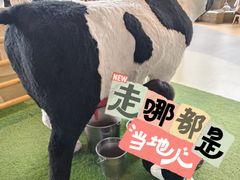 -呼和浩特市老牛儿童探索馆
