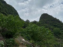 -大面山