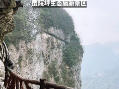 -鹿院坪生态旅游景区