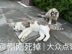 -四门塔风景区