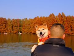 -上海海湾国家森林公园