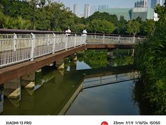 -福田红树林生态公园