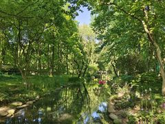 -上海共青森林公园