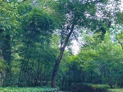 -同里国家湿地公园
