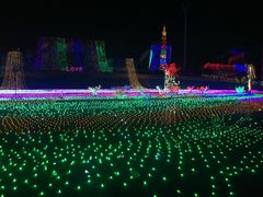 -巨鹏飞梦幻海岸