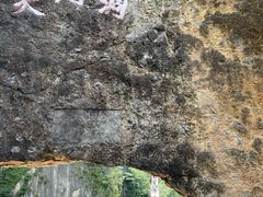 -武陵山森林公园