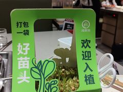 -海底捞火锅(金光华店)