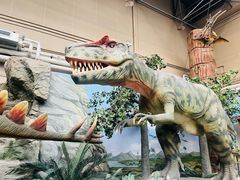 -国家自然博物馆