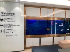 -牙博士口腔(杨浦店)