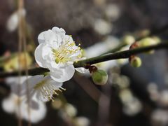 -北京鹫峰国家森林公园