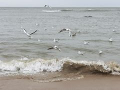 -老虎石海上公园