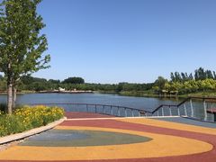 -东郊湿地公园