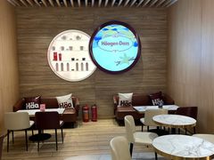 -哈根达斯(国瑞店)