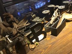 -吉丁鸟咖·异宠·寄养