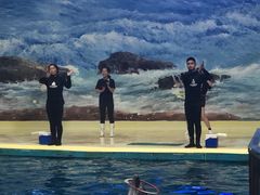 -福州罗源湾海洋世界旅游区