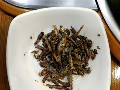 -蚂蚁家辣炒章鱼(海云台店)