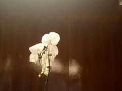 包房-京兆尹(雍和宫店)