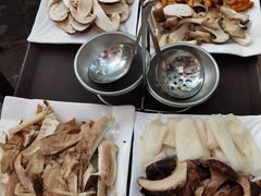 -蘑统田下·野生菌火锅