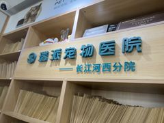 -瑞派长江宠物医院·猫科·外科·24小时夜护(谊城公寓分院)