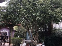 -杭州西湖风景名胜区-满觉陇四眼井