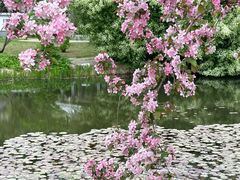 -沈阳植物园