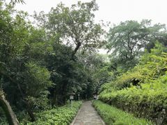 -广州兰圃