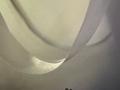 -BLACKSWAN黑天鹅(环球店)