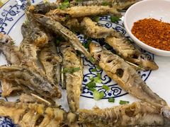 -高坎一品甲鱼庄(两河店)