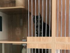 -老吴的猫·猫舍(新区店)