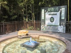 -天目湖涵田半山温泉