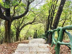 -梧桐山风景名胜区