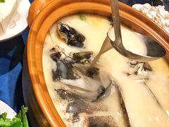 浓汤千岛湖鱼头-湘轩·土菜研究院(光大店)