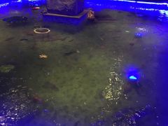 -棕南海水疗会所