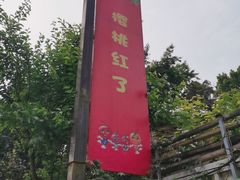 -樱桃山旅游景区