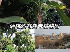 -北京中信金陵酒店