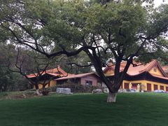 -太子山公园(园东路)