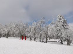 -大秃顶子山(雪谷店)
