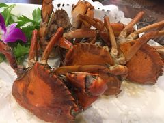 -友强·23年特色海鲜大排档(厦门店)