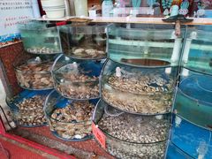 -东来菜馆•手抓海鲜家常菜•海鲜锅贴(鸽子窝店)