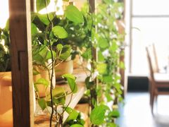 -小城粥道·海胆鲜虾粥(解放广场店)