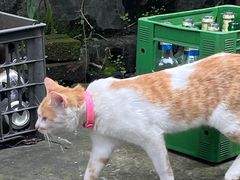 -盘龙黄鳝(盘龙居店)