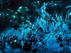 -怀托摩萤火虫洞