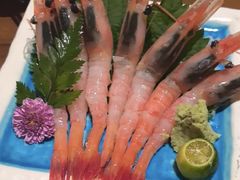 -鸟泉居酒屋·烧鸟·酒馆(百子湾店)