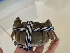 -七的湖·晚芳亭·阳澄湖农家菜·大闸蟹(莲花岛店)
