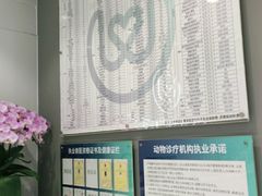 -关爱宠物医院·猫科中心·消化科(滨湖万达分院)